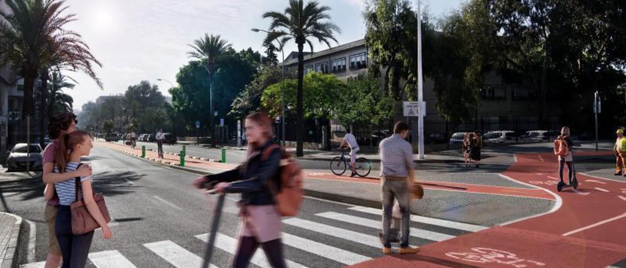 La infografía del carril bici en la calle Pedro Juan Perpiñán, dentro de la mediana. | ARREL ARQUITECTURA