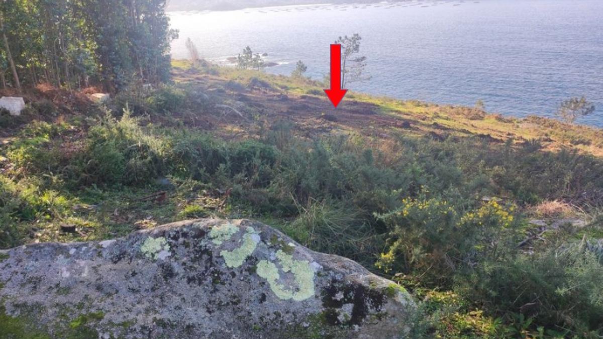 Imagen del informe de Patrimonio, con la roca del petroglifo de A Bufúa (en Bon) en primer término y «a menos de 10 metros» la plantación de pinos.
