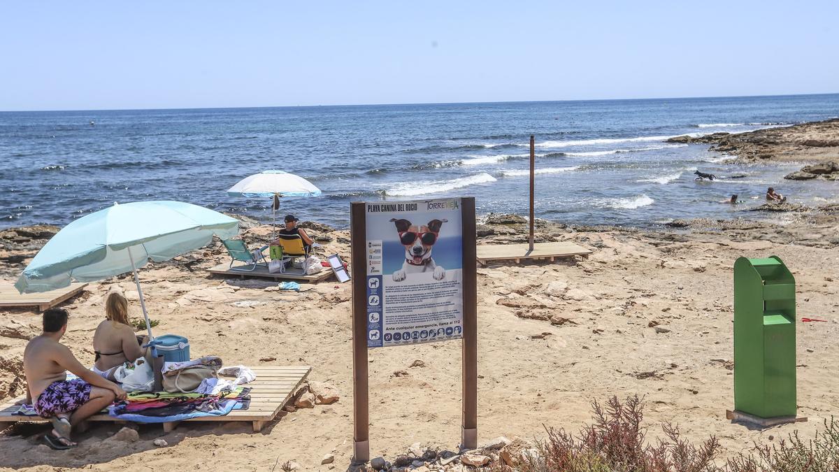 Playa canina de Torrevieja ya sin ducha ni juegos de Agility