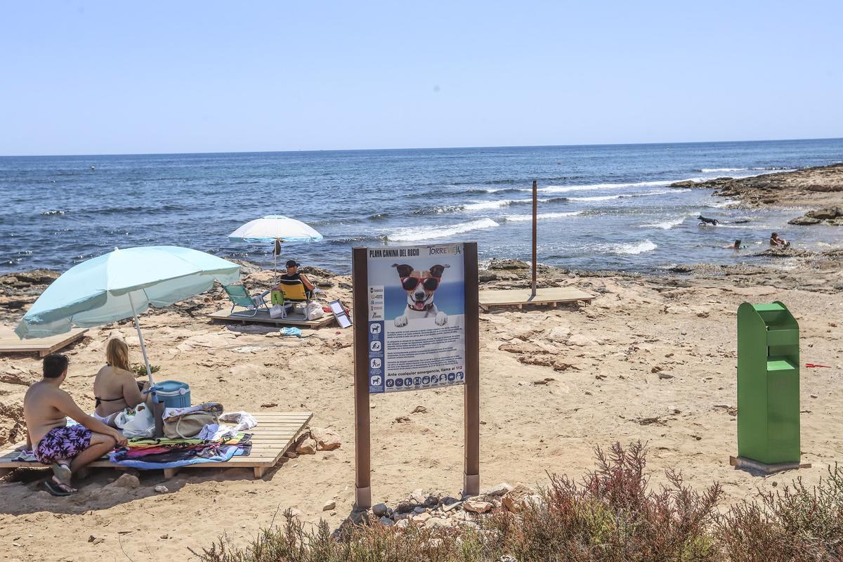 Playa canina de Torrevieja ya sin ducha ni juegos de Agility