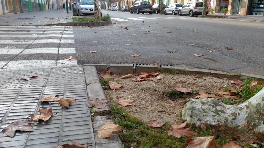 Las aceras de la avenida Ernest Mestre de Felanitx.