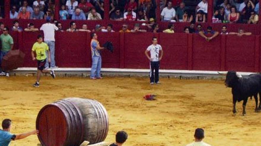 Jóvenes citan al astado en la fuente de vino M. J. C.