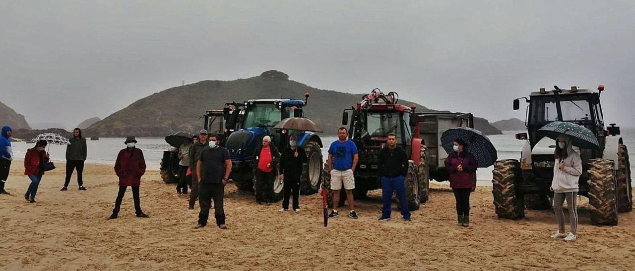 Un grupo de recolectores de ocle, junto a sus tractores, en la playa llanisca de Barru.