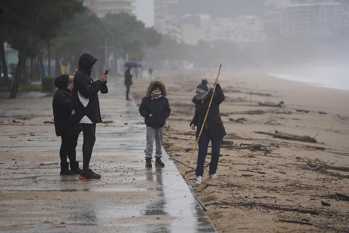 Imatges de la balena morta arrossegada pel temporal a la costa de Platja d'Aro