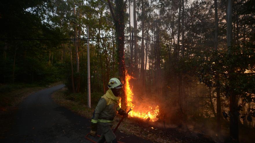 Mitos sobre los incendios: ni la especulación ni las compañías de extinción suelen ser los causantes