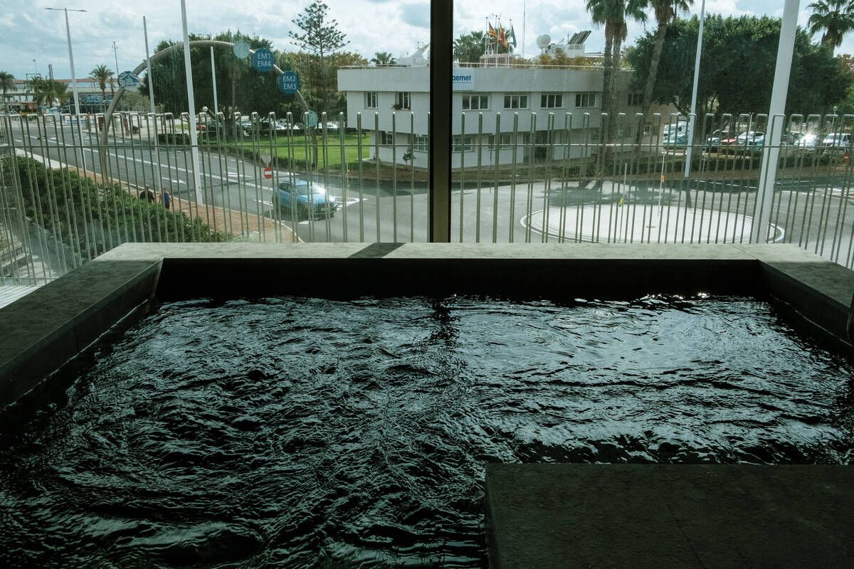 251010DMA_Bernardo A (225269565).jpg