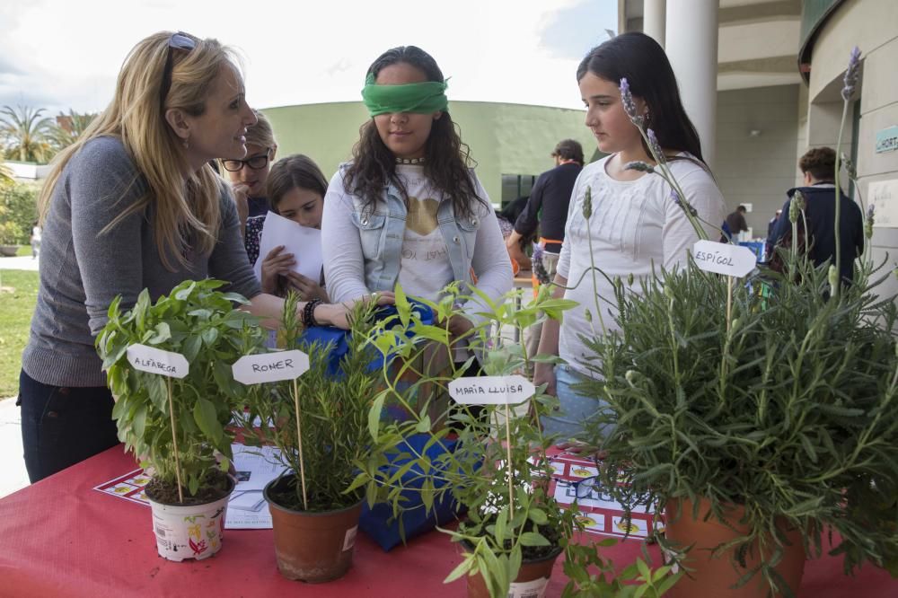 Primavera educativa en Valencia