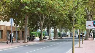 Sant Antoni inicia la recuperación de ses Alameres, uno de los paisajes históricos del municipio