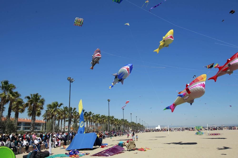 Festival del Viento 2016 en la Malva-rosa