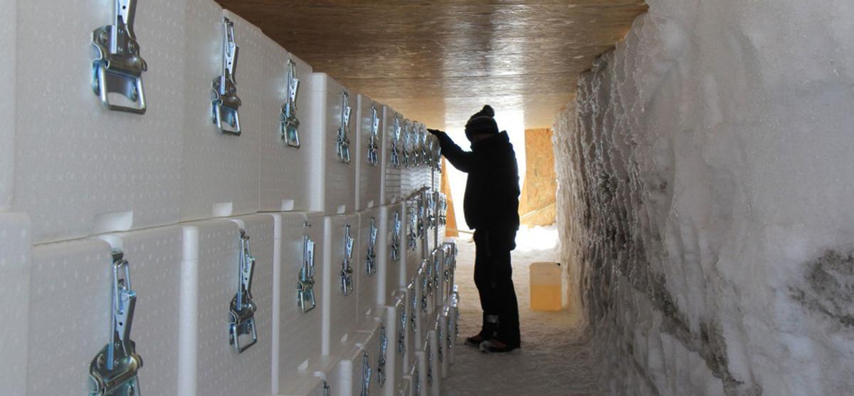 El interior de la caverna albergará muestras de glaciares de todo el planeta
