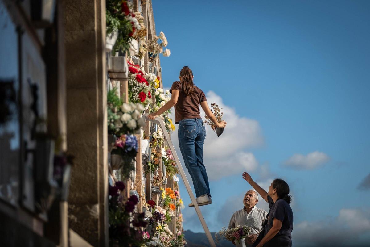 Laura ayuda a sus padres a enramar en la escalera.