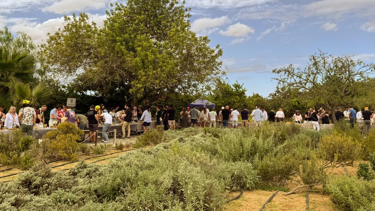 Los talleres de Fluxà Ibiza son toda una experiencia en pleno Jardín Botánico.