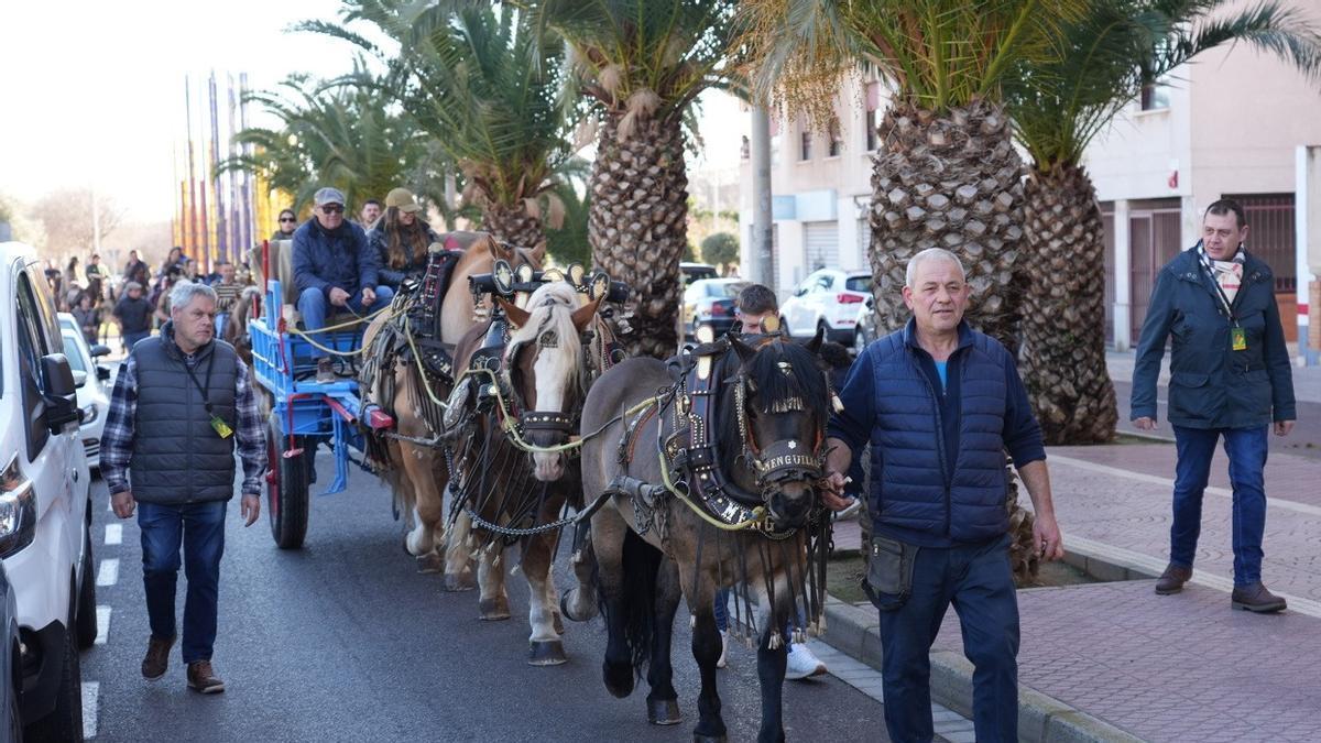 Vídeo: Sant Antoni en Castelló