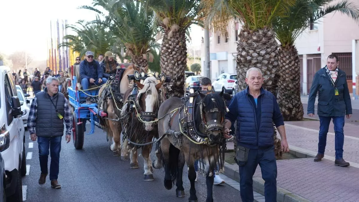 El desfile de Sant Antoni llena de tradición la ciudad de Castelló: El día de los animales