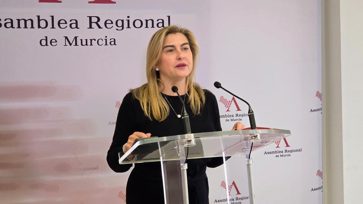 La portavoz socialista en la Asamblea, Carmina Fernández.