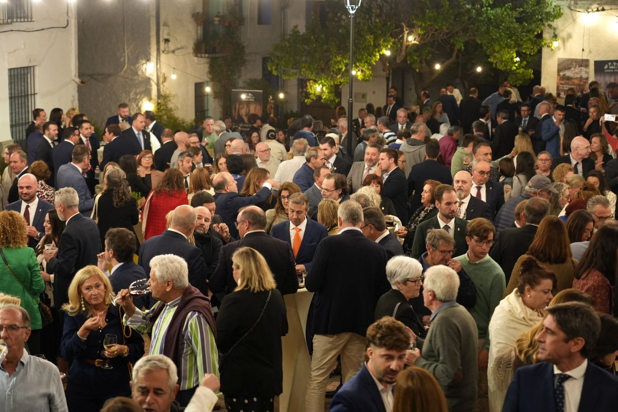 Las imágenes de la gala organizada por la Diputación en el Día de la Provincia