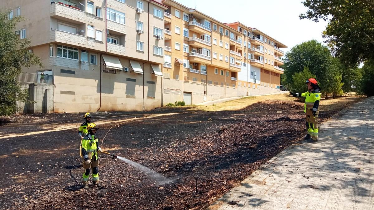 Los bomberos apagan el fuego de pasto en Plasencia.