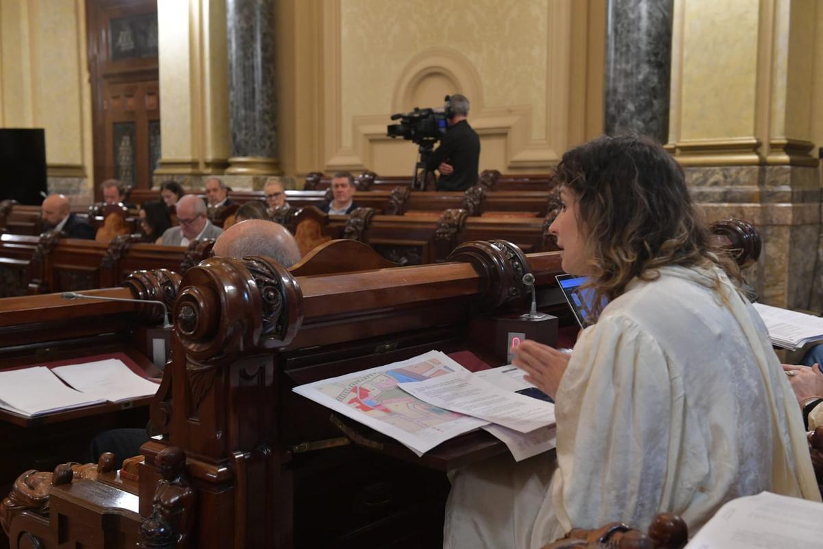 Recibió la aprobación inicial del pleno gracias a los votos favorables del PSOE y el BNG.