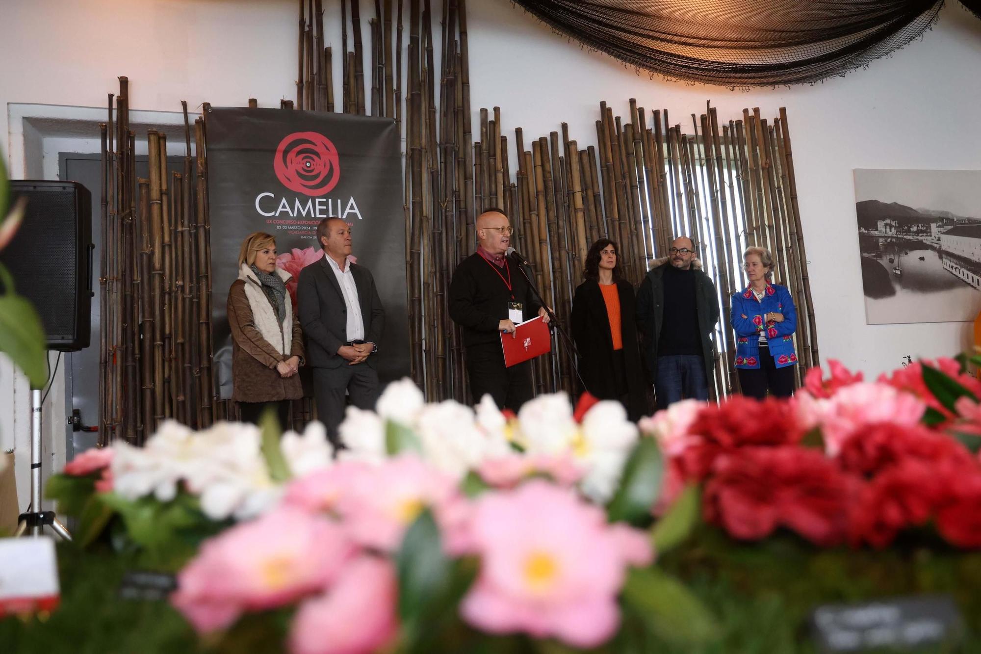 Así fue la 59 exposición internacional de la camelia, en Vilagarcía.