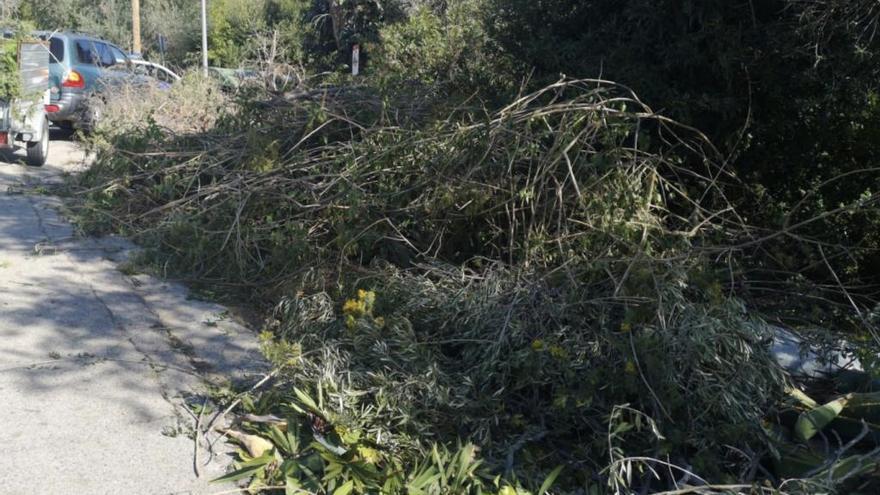 Un abocament de restes vegetals a un carrer del Mas Fumats.