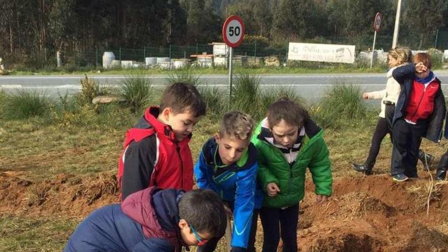 Escolares plantan 100 ejemplares de árboles autóctonos en Os Capelos