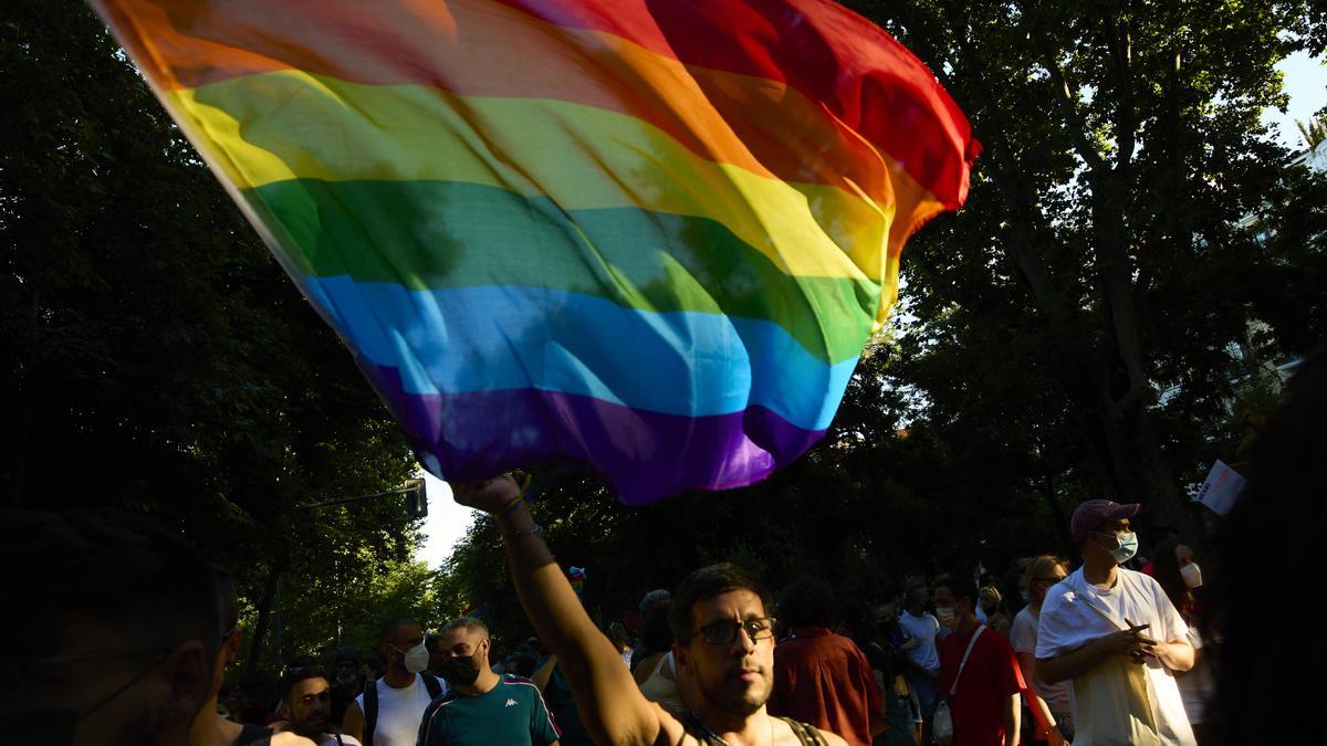 Un noi amb una bandera LGTBI en una manifestació a Madrid