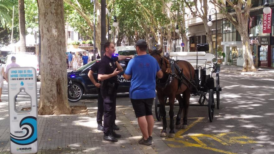 Denuncian al conductor de una calesa por huir de la Policía en Palma