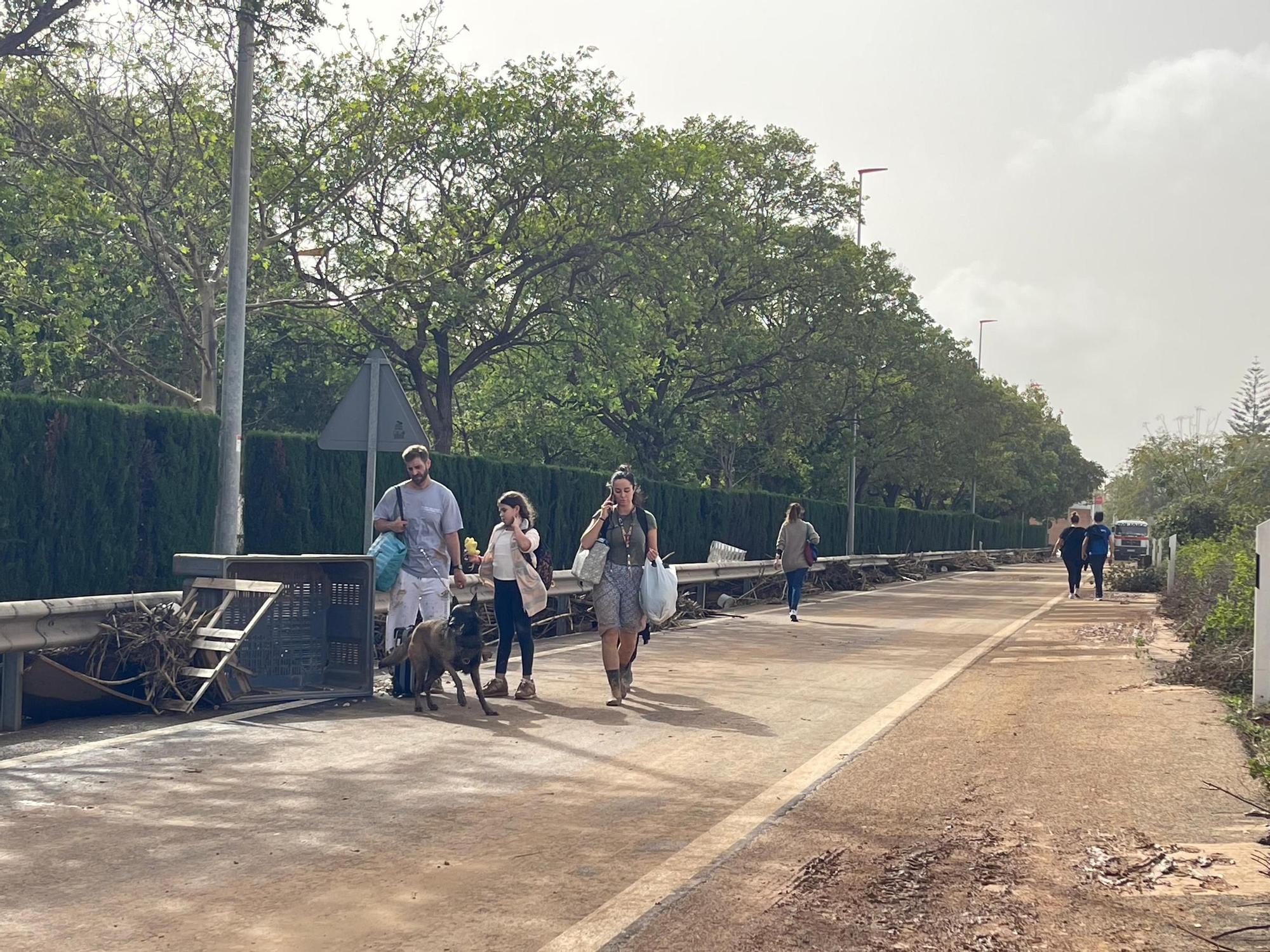 WhatsApp Image 2024-10-30 at 14.15.31.jpeg