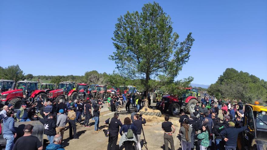 Els pagesos planten un pi de 10 metres al mig de l&#039;AP-7 a Pontós mentre esperen els resultats de la reunió amb Mascort