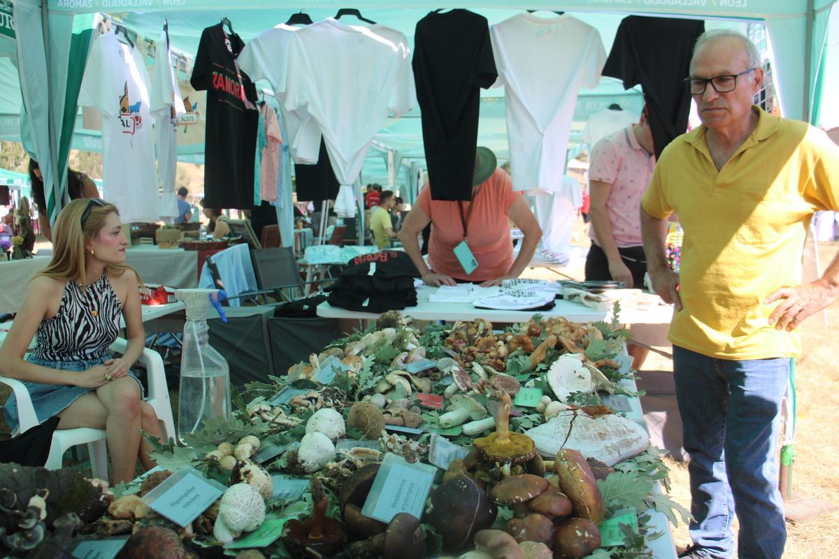 GALERÍA | La Sierra de la Culebra se va de festival