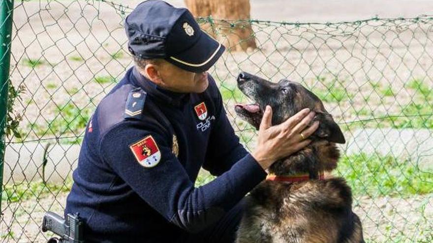 La ONG nació en 2015.