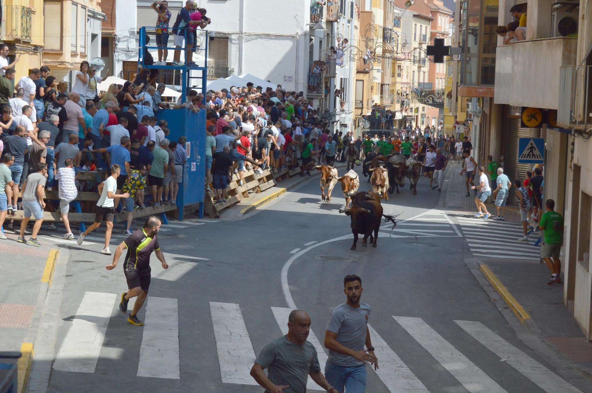 Primer encierro de las fiestas del Cristo de l'Alcora