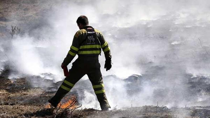 Un brigadista trabaja en la extinción del fuego.