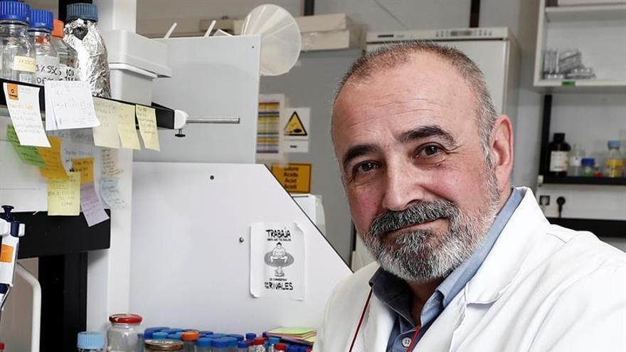 &quot;El coronavirus ni se está debilitando ni se está volviendo más virulento&quot;