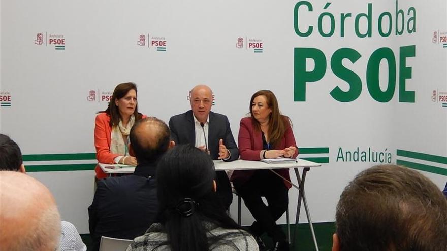 El PSOE ve clave la futura Ley de Participación Ciudadana