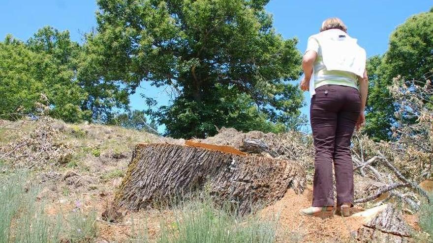 Una vecina de Chanos en una finca con árboles cortados.