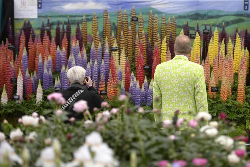 Les millors exposicions de flors d''Europa