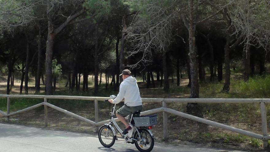 Colectivos crean otra plataforma en La Marina en apoyo al Pativel