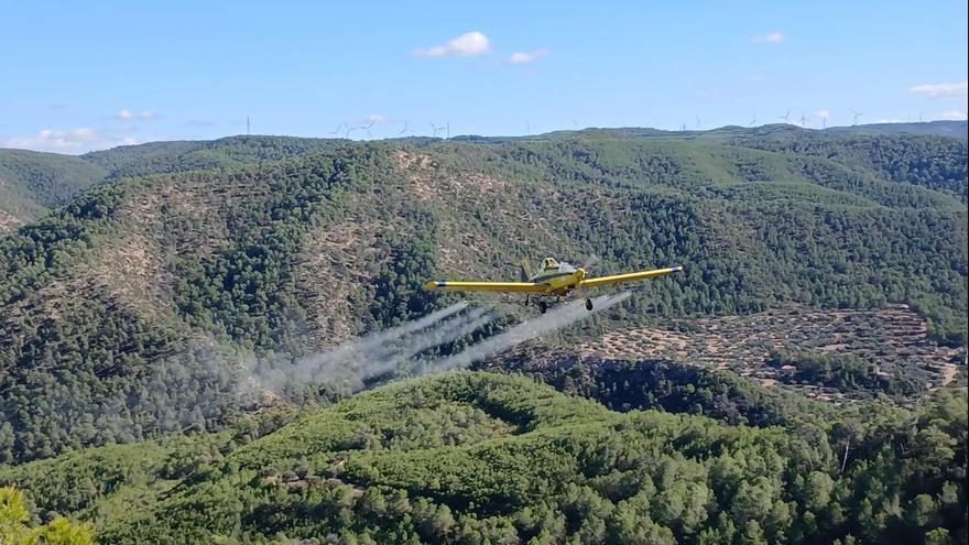 El Ripollès i l&#039;Alt Empordà, les comarques on més es fumiga des de l&#039;aire per controlar la processionària del pi