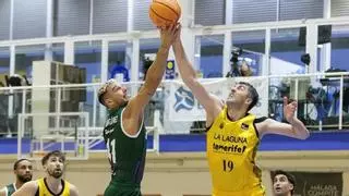 La obsesión de Jaka Lakovic, técnico de La Laguna Tenerife, con el Unicaja: «Si Willy Hernangómez recibe en la pintura, media batalla está perdida»
