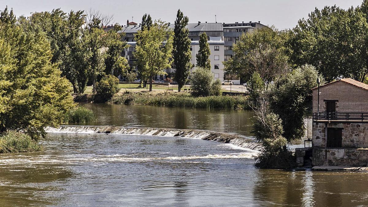 Vista general de la zona en la que se localiza el azud de las aceñas de Cabañales y de la corriente que provoca su rotura. | Nico Rodríguez