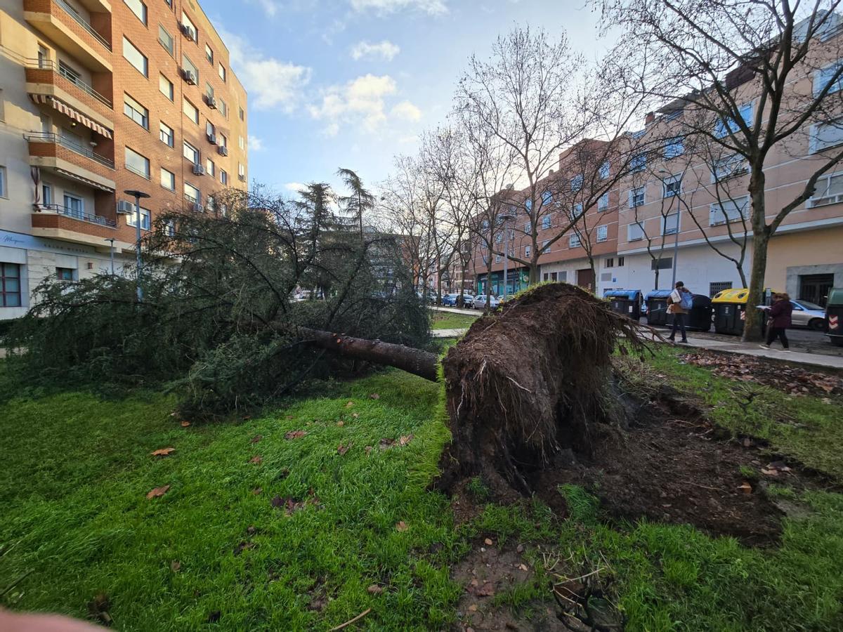Junto a la estación de autobuses.
