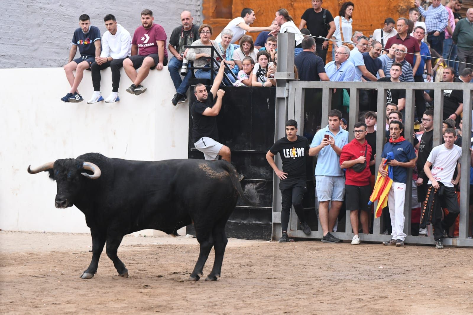 Exhibición de cuatro toros de Partida Resina en Onda