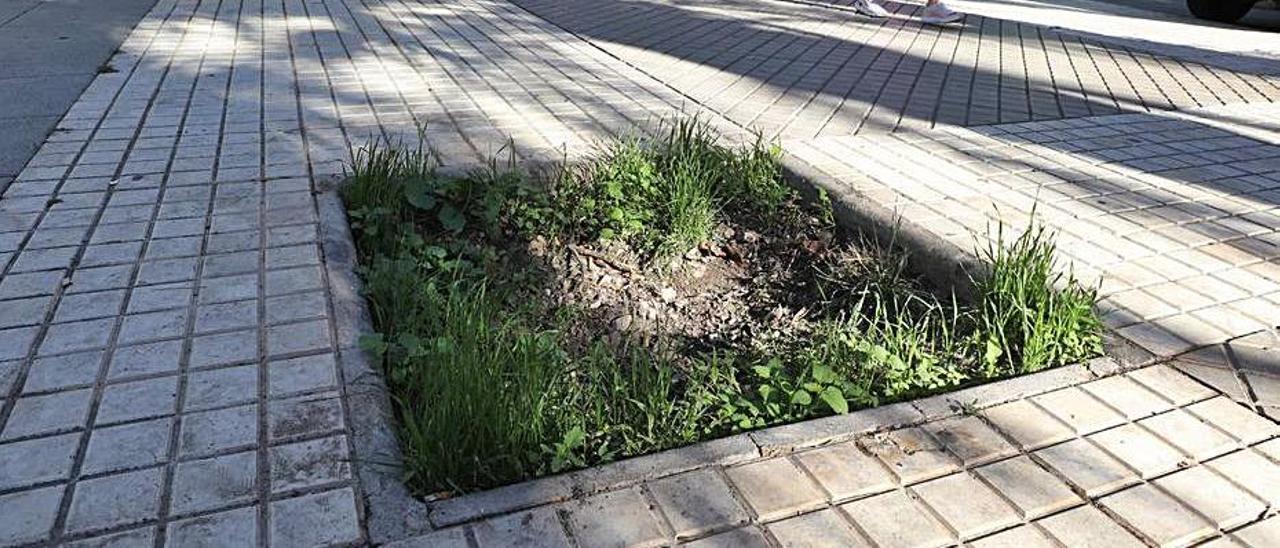 Un alcorque sin árbol en una calle céntrica. |