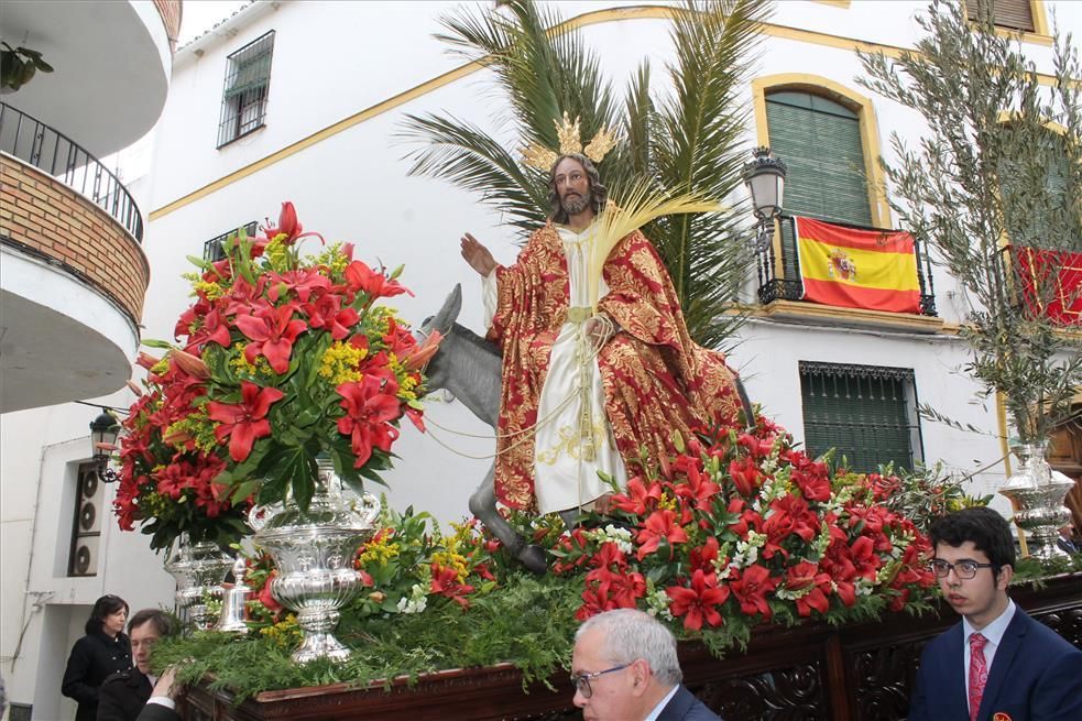 Imágenes del Domingo de Ramos en la provincia