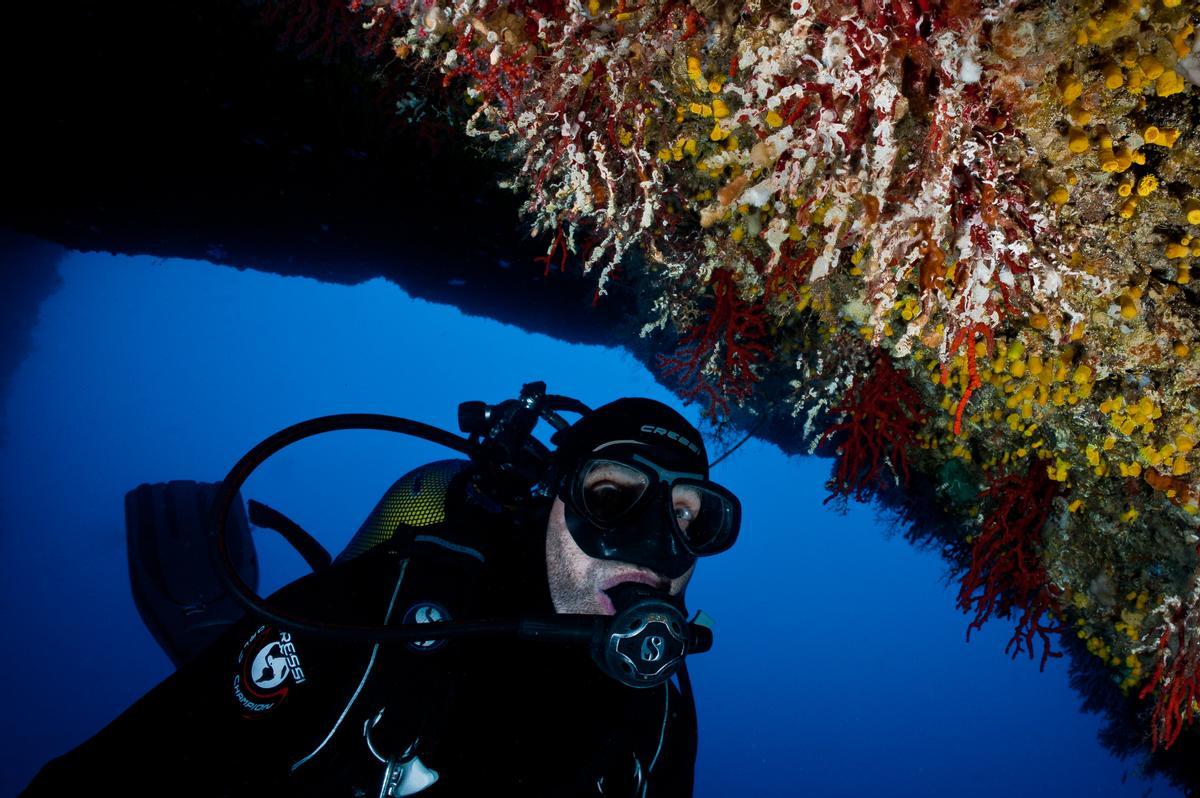 Un científico analiza una población de corales del Mediterráneo afectada por el calor extremo.