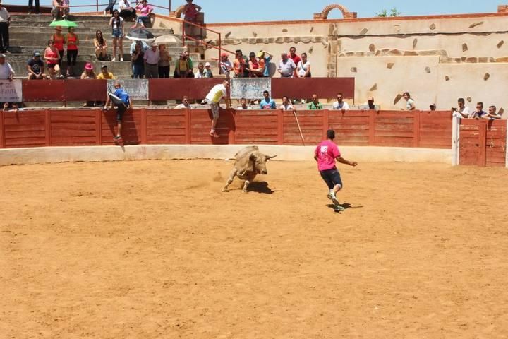 Espantes de Guarrate