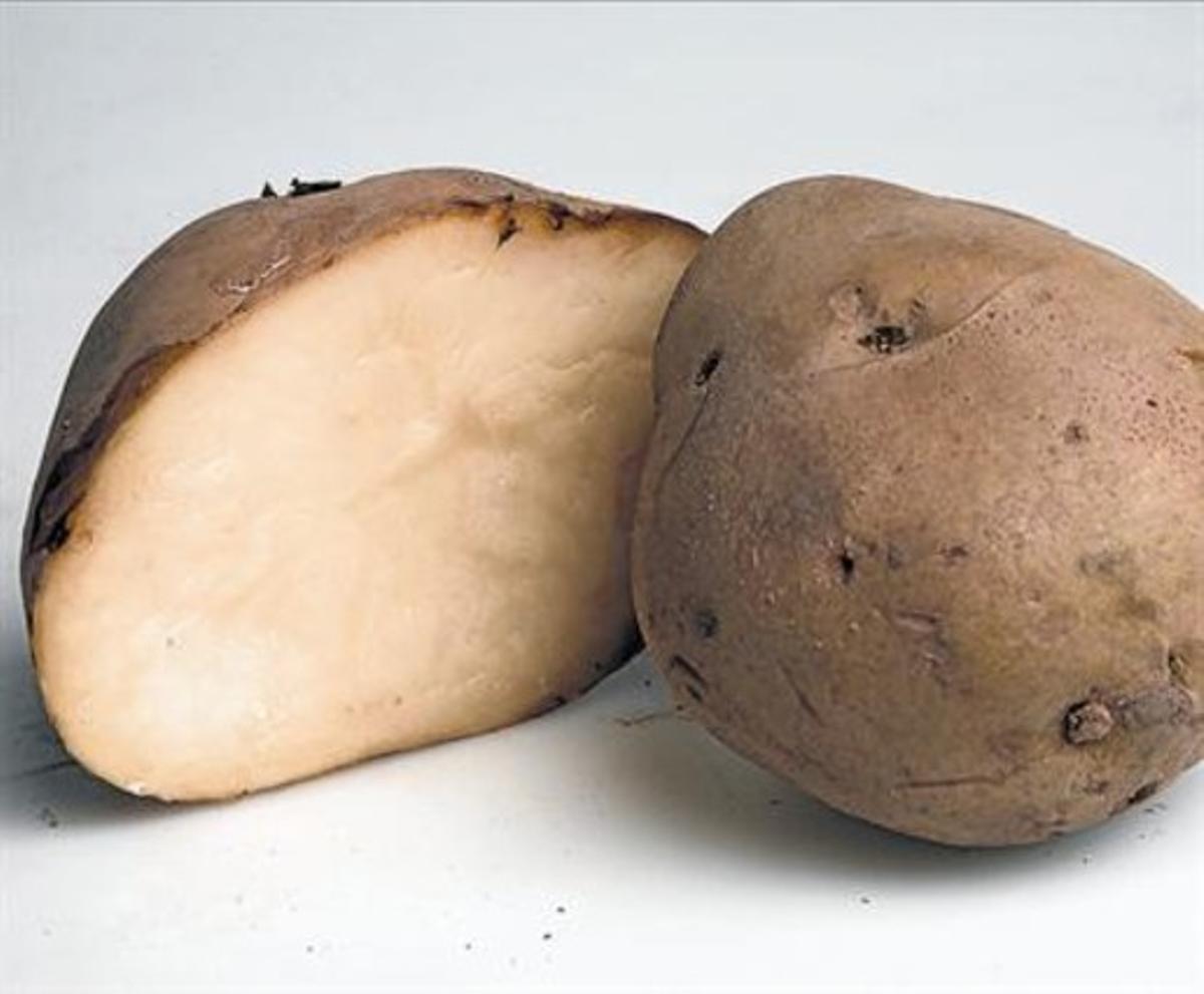 La patata nova de la varietatjaerlaés ideal per bullir.