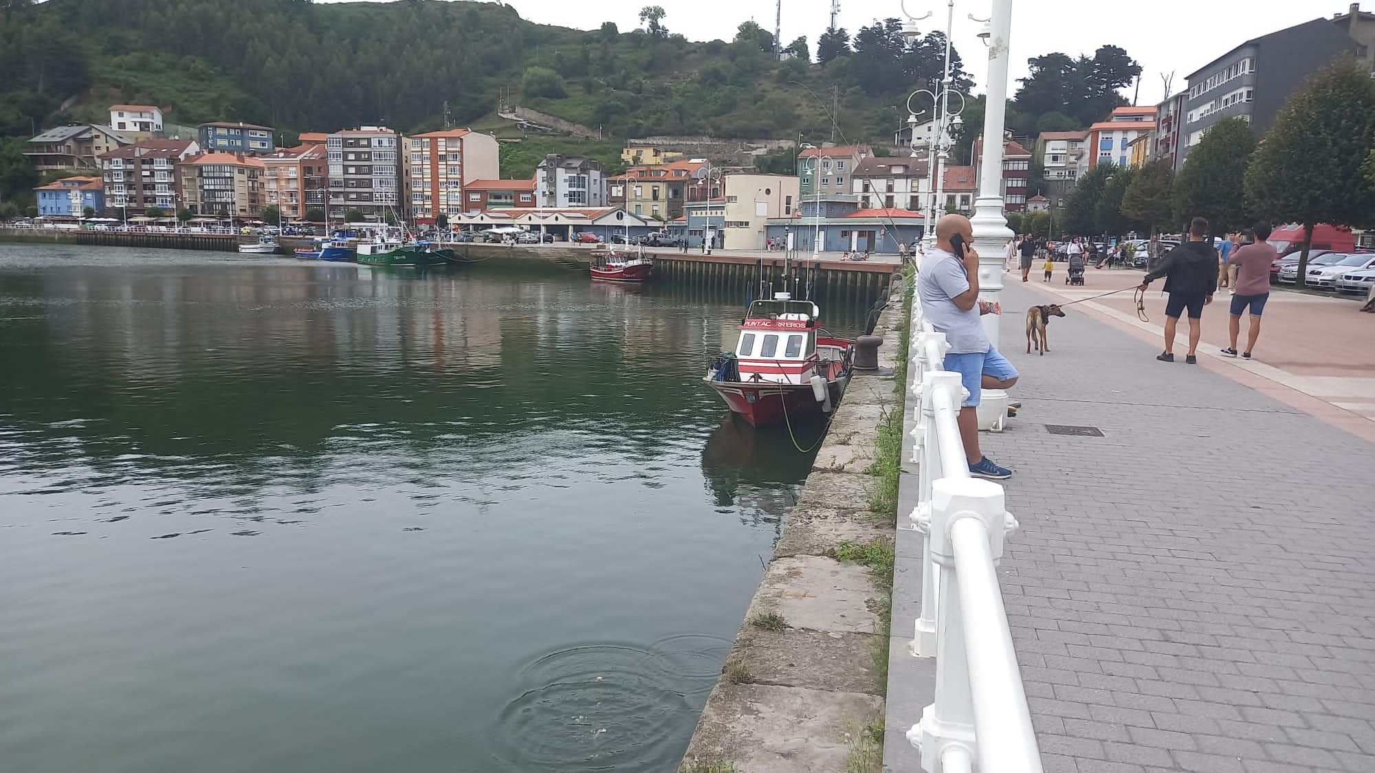 La cucaña de Lastres bate récord de participación y público.