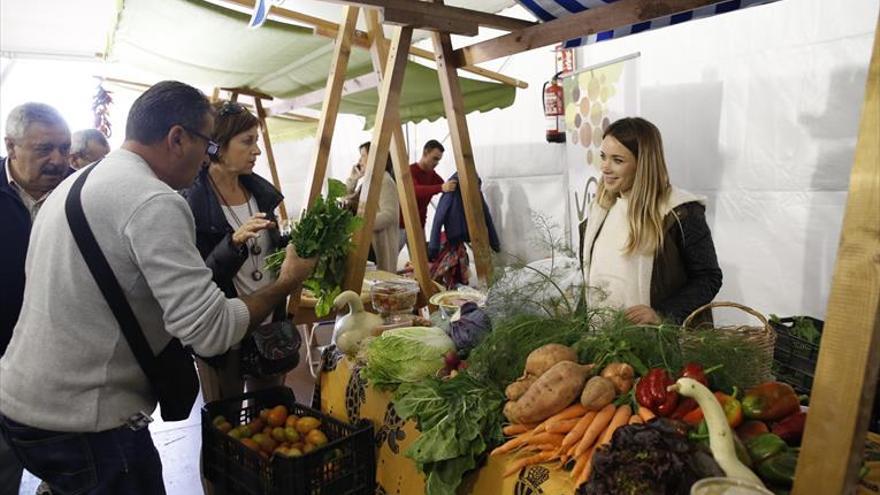 Córdoba supera las 153.500 hectáreas de superficie de agricultura ecológica